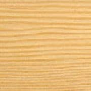 Douglas Fir