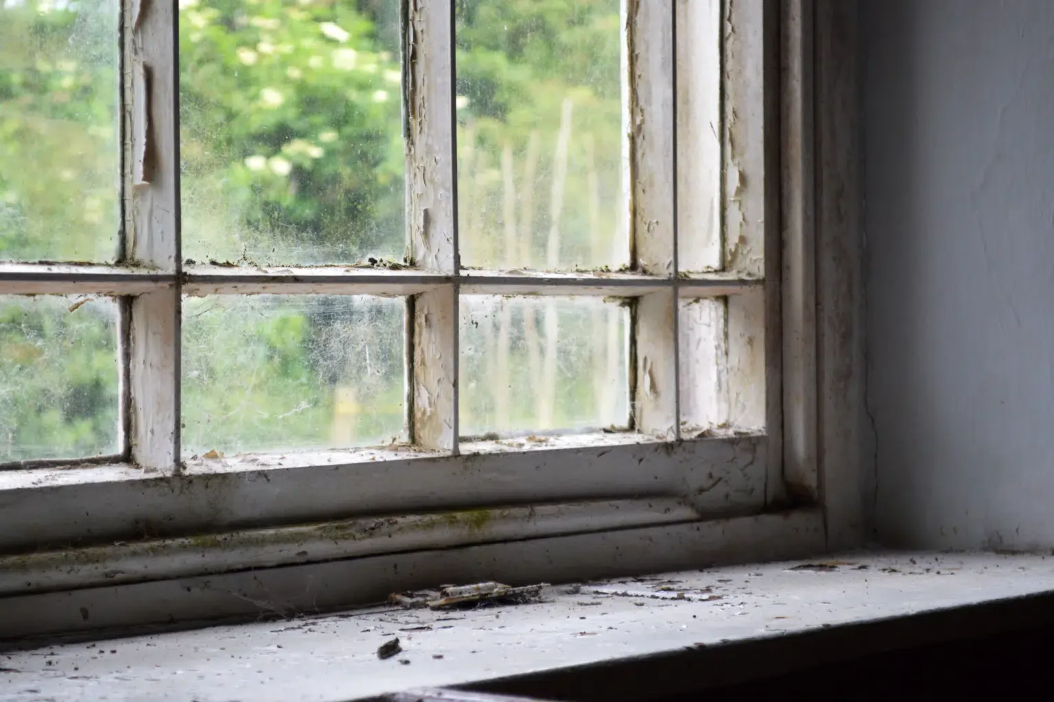 An image showing why it's not worth it to repair old windows.